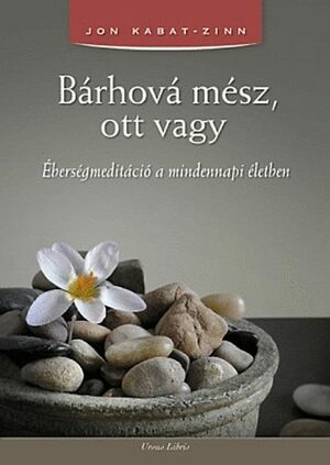 Bárhová \u200bmész, ott vagy: Éberségmeditáció a mindennapi életben by Jon Kabat-Zinn