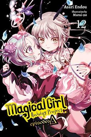 Magical Girl Raising Project, Vol. 12 (light novel): Episodes Δ by Asari Endou