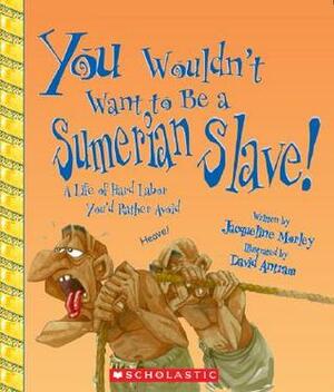 You Wouldn't Want to Be a Sumerian Slave!: A Life of Hard Labor You'd Rather Avoid by David Antram, Jacqueline Morley, David Salariya