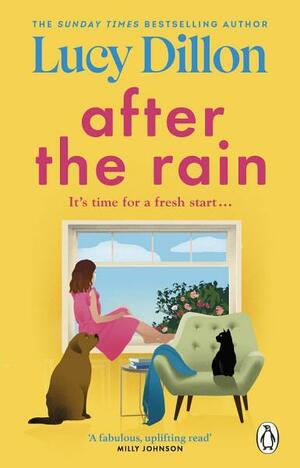 After the Rain by Lucy Dillon