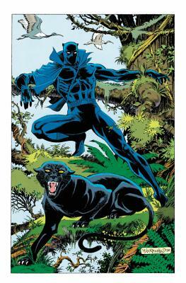 Black Panther: Panther's Quest by 