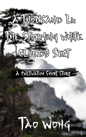 The Storming White Clouds Sect by Tao Wong