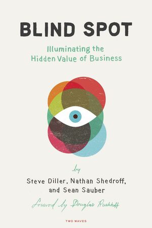 Blind Spot: Illuminating the Hidden Value of Business by Nathan Shedroff, Sean Sauber, Steve Diller