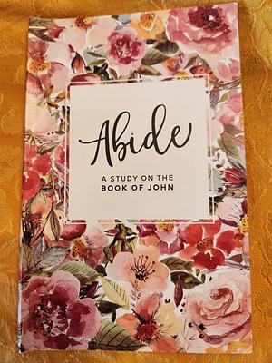 Abide A Study In The Book Of John by Kristin Schmucker