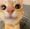anezataneta's profile picture