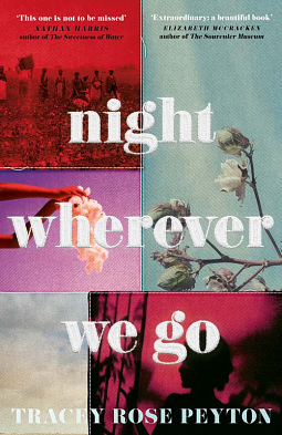 Night Wherever We Go by Tracey Rose Peyton