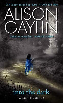 Into the Dark by Alison Gaylin