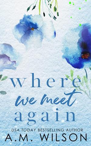 Where We Meet Again: Special Edition by A.M. Wilson
