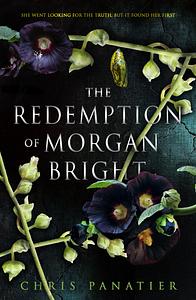 The Redemption of Morgan Bright by Chris Panatier