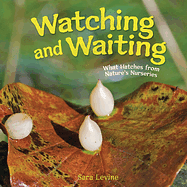 Watching and Waiting: What Hatches from Nature's Nurseries by Sara Levine