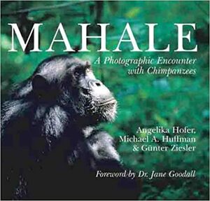 Mahale: A Photographic Encounter with Chimpanzees by Angelika Hoffer, Gunter Ziesler, Jane Goodall, Michael Huffman