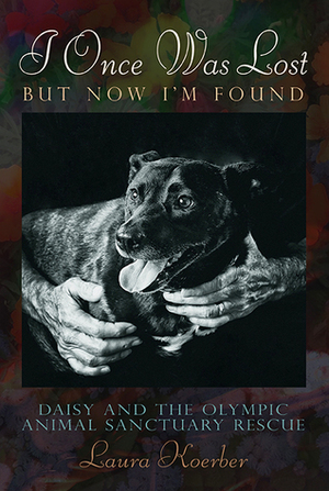 I Once Was Lost, But Now I'm Found: Daisy and the Olympic Animal Sanctuary Rescue by Laura Koerber