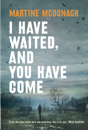 I Have Waited, And You Have Come by Martine McDonagh