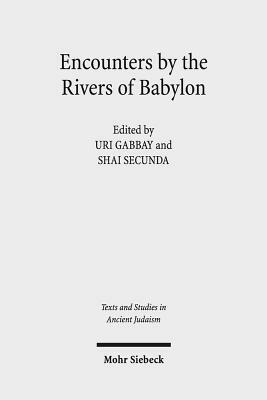 Encounters by the Rivers of Babylon: Scholarly Conversations Between Jews, Iranians, and Babylonians in Antiquity by 