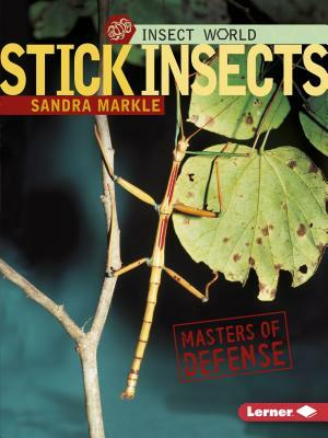 Stick Insects: Masters of Defense by Sandra Markle