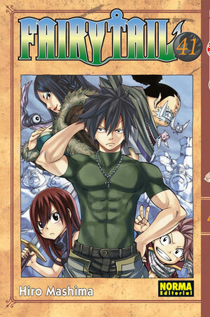 FAIRY TAIL 41 by Hiro Mashima