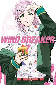 Wind Breaker by Satoru Nii