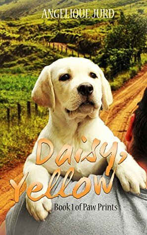 Daisy, Yellow by Angelique Jurd