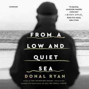 From a Low and Quiet Sea by Donal Ryan