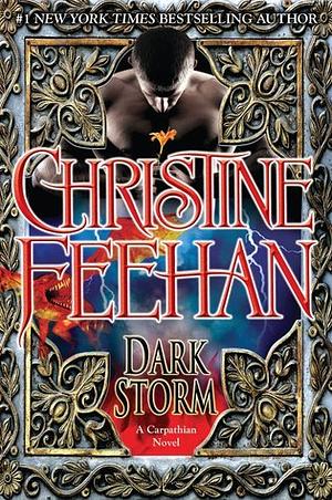 Dark Storm by Christine Feehan