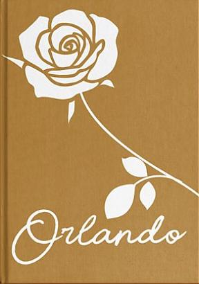 Orlando by Virginia Wolf