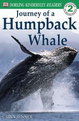 The Journey of a Humpback Whale by Caryn Jenner