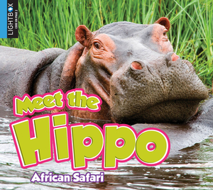 Meet the Hippo by Katie Gillespie