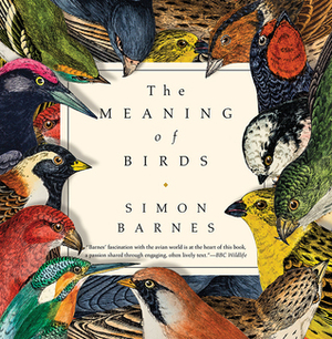 The Meaning of Birds by Simon Barnes