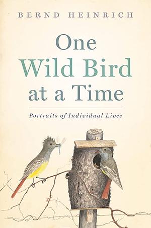 One Wild Bird at a Time: Portraits of Individual Lives by Bernd Heinrich