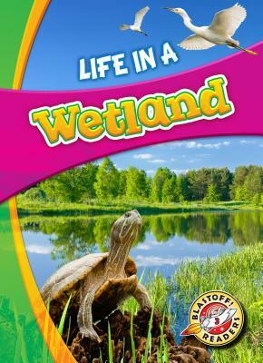 Life in a Wetland by Laura Hamilton Waxman