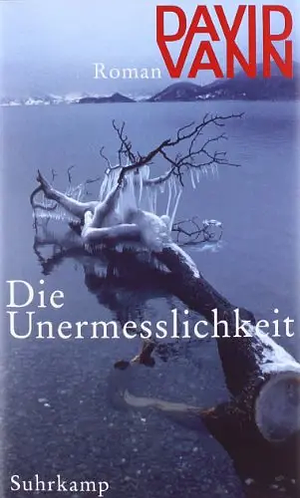 Die Unermesslichkeit by David Vann