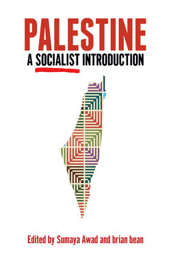 Palestine: A Socialist Introduction by Sumaya Awad, Brian Bean