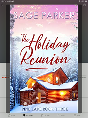 The Holiday Reunion  by Sage Parker