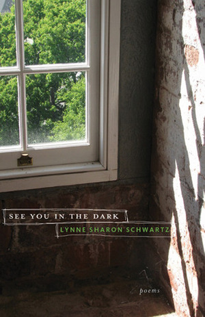 See You in the Dark: Poems by Lynne Sharon Schwartz