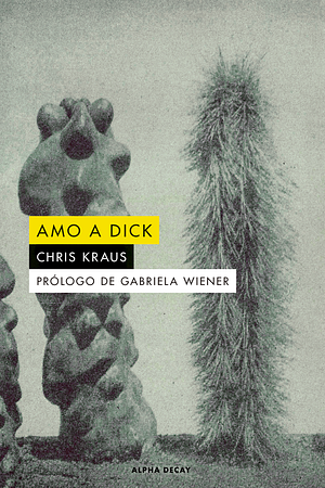 Amo a Dick by Chris Kraus