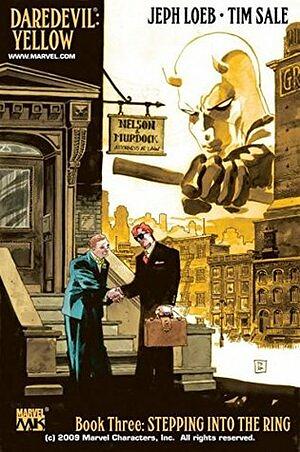 Daredevil: Yellow #3 by Tim Sale, Jeph Loeb