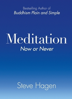 Meditation Now or Never by Steve Hagen