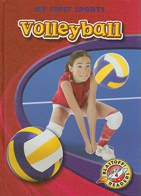 Volleyball by Ray McClellan