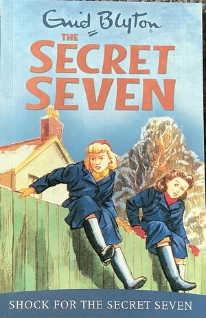 Shock for the Secret Seven by Enid Blyton