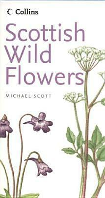 Scottish Wild Flowers by Michael Scott
