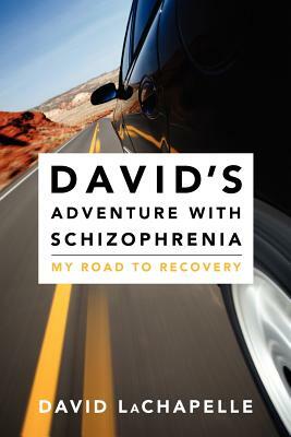 David's Adventure with Schizophrenia: My Road to Recovery by David LaChapelle