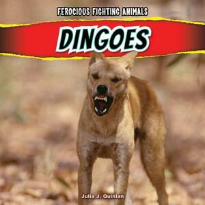 Dingoes by Julia J. Quinlan