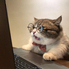 sadsapphic's profile picture