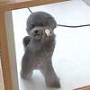 jb_readsss's profile picture