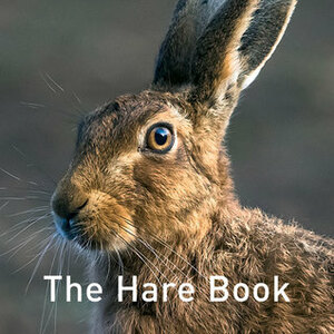 The Hare Book by Jane Russ