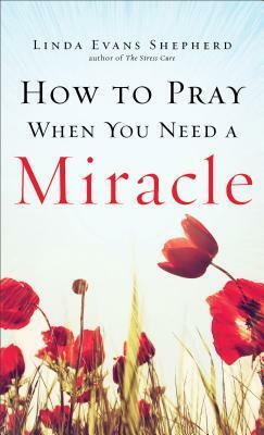 How to Pray When You Need a Miracle by Linda Evans Shepherd