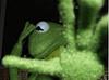 rachelkubi's profile picture