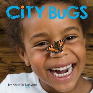 City Bugs by Antonia Banyard
