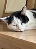 jemima_ellen's profile picture