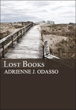 Lost Books by A.J. Odasso